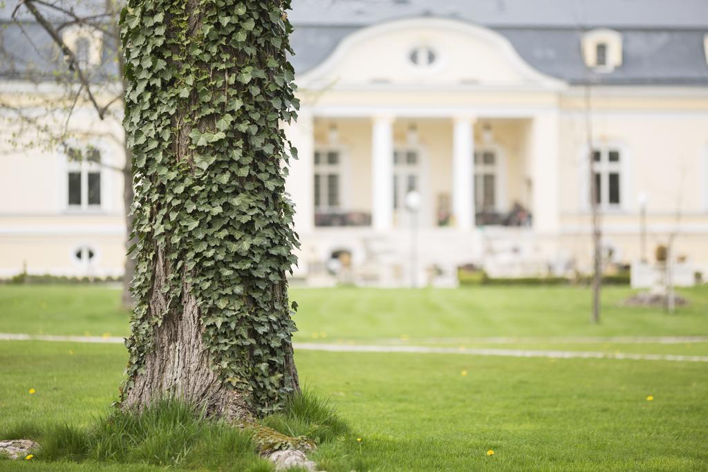 Amade Chateau Vrakúň Buitenkant foto